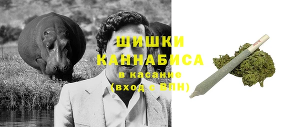 ПСИЛОЦИБИНОВЫЕ ГРИБЫ Нея