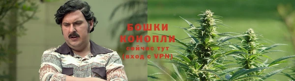 меф Нефтегорск