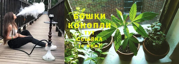 ПСИЛОЦИБИНОВЫЕ ГРИБЫ Нея