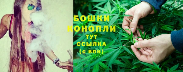 ПСИЛОЦИБИНОВЫЕ ГРИБЫ Нея
