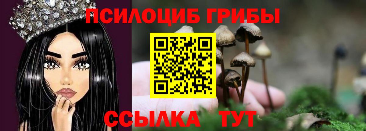 Новоалександровск  Псилоцибиновые грибы ЛСД  купить   Псилоцибиновые грибы ЛСД  Вход с VPN 